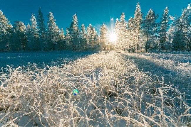 В Калужской области вновь прогнозируют снегопады