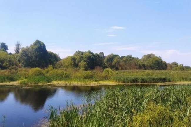 В Курской области создали памятник природы «Пойма рек Свапы и Нестуни»