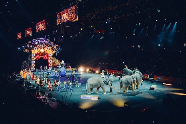 В Кировской области разрешили работать цирку