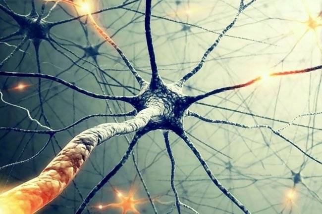 Одиночество и ночная работа: неврологи Тан и Райт назвали причины старения мозга