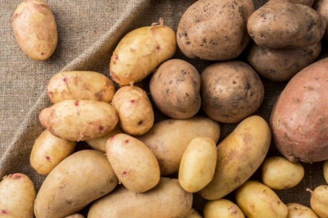Придется есть магазинную: россиянам запретили сажать картошку
