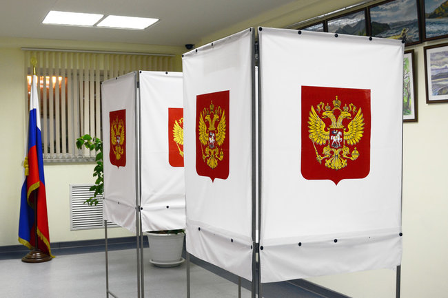 С 17 февраля в Воронеже начнется подомовой обход избирателей