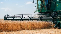 Российский регион попал в книгу рекордов благодаря пшенице