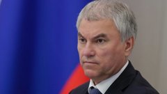 Володин раскритиковал противников законодательно убрать с улиц бездомных животных