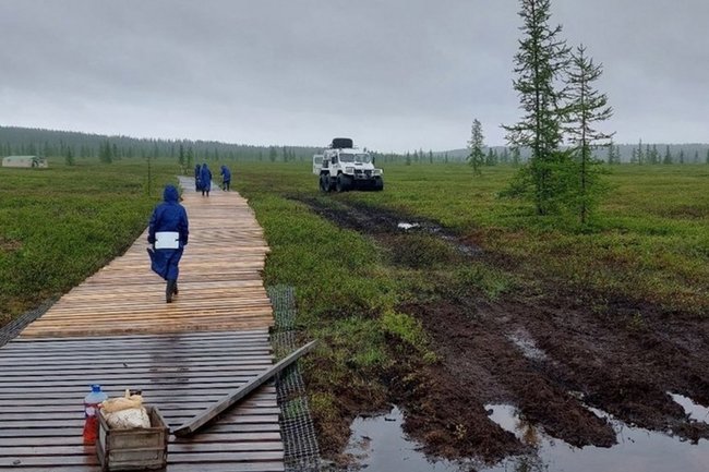 Волонтеры Арктики за неделю построили 181 метр экотропы в природном парке «Ингилор»