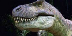 Охотник за динозаврами совершил находку на миллионы долларов