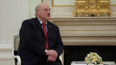 Лукашенко призвал желающих «перевернуть страну» идти на выборы