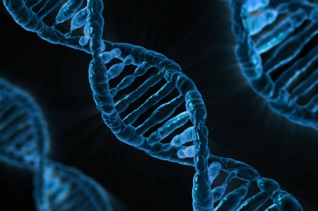 Ученые доказали связь привычек с генетикой