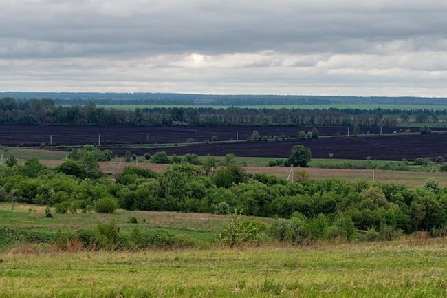 Курская область