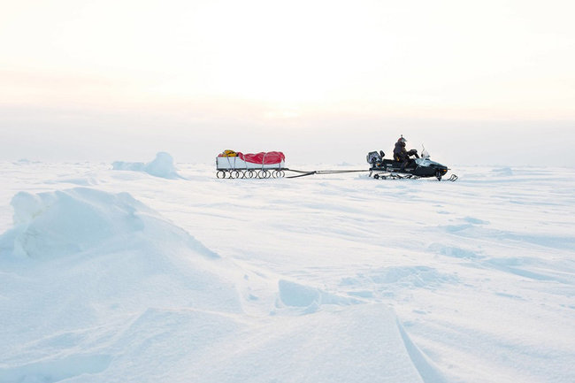 Обозначены трудности, с которыми столкнулся бизнесмены в Арктике