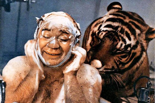 Голый Леонов и сбежавшие тигры: как снимали комедию «Полосатый рейс»