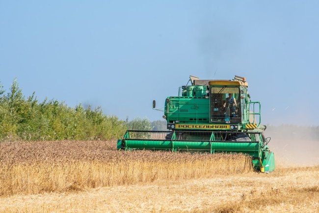В Тюменской области аграрии убрали 83% зерновых и зернобобовых культур
