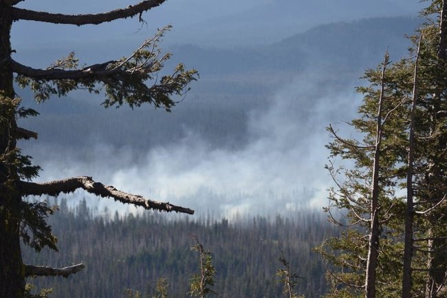Пожарные сократили горящие площади в лесах Ямала