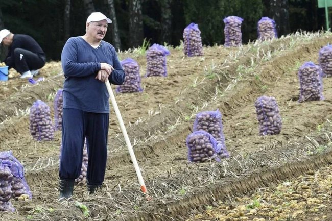 Александр Лукашенко