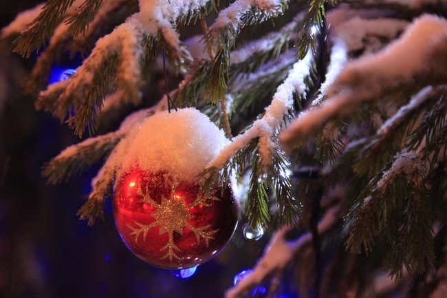 В Ханты-Мансийске установили главную новогоднюю елку