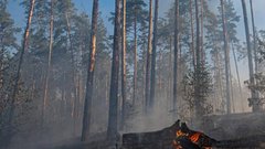 Власти Киева сообщили об ухудшении воздуха в городе из-за лесных пожаров