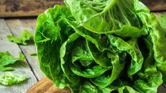 Листовая зелень и крестоцветные овощи нормализуют уровень сахара в крови