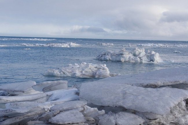 Баренцево море лед