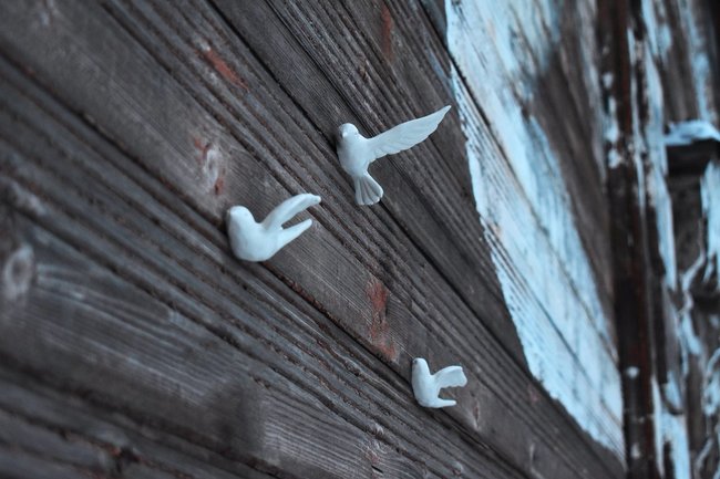 Новая инсталляция с птицами украсила старый деревянный дом в Нижнем Новгороде
