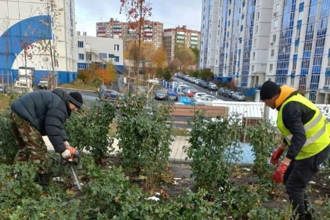 Уборка общественных пространств в Курске