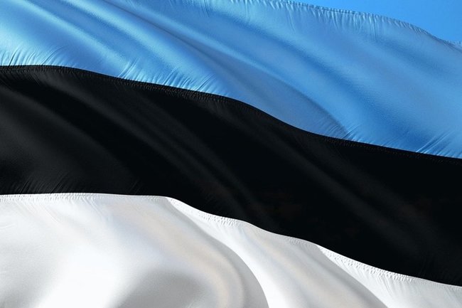 В Эстонии предложили провести референдум по присоединению к России