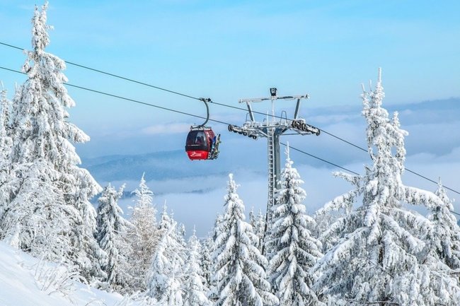 Гендиректор горнолыжного курорта рассказала про цены на отдых в Сочи