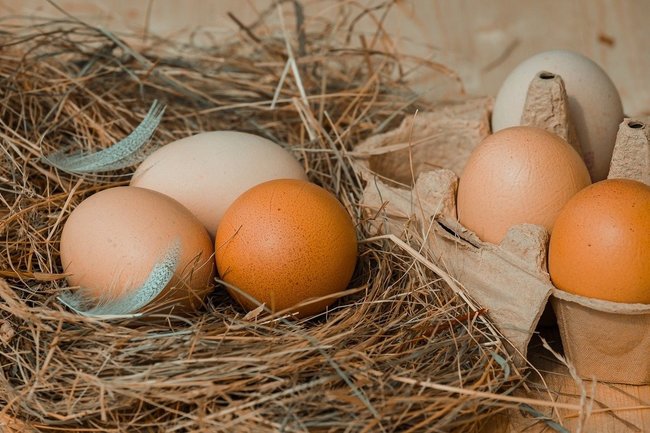 Тюменцы скупали куриные яйца на сельхозярмарке