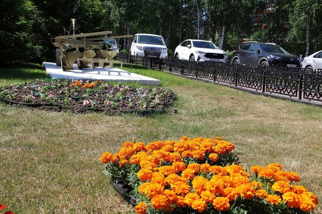 Улицы Ханты-Мансийска украсили 300 тысяч цветов