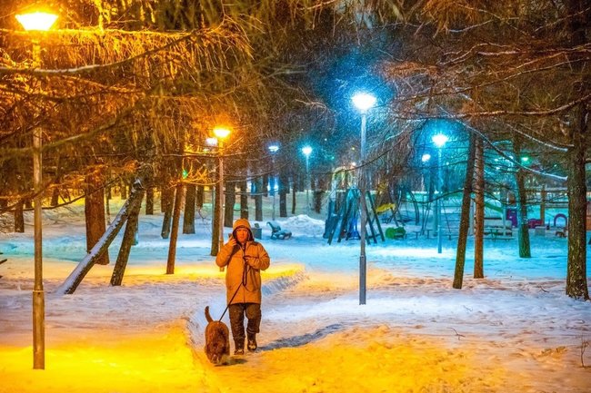 зима погода прогулка собака пенсионер