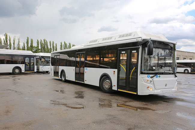 63 новых автобуса появятся на улицах Воронежа