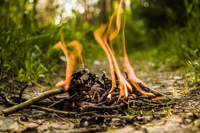 ​В Югре за неделю ликвидировали 97 пожаров