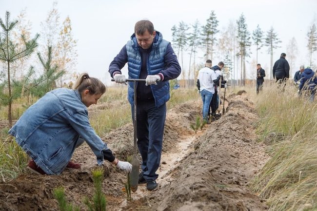 Председатель Воронежской облдумы принял участие в акции «Живи, лес!»
