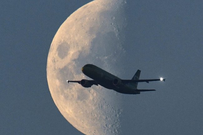 Росавиация попросила авиакомпании снизить случаи недопуска багажа на рейсы