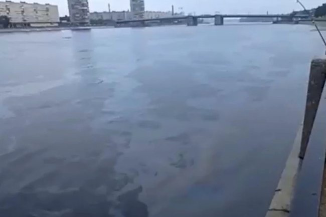 В Петербурге проводят проверку из-за серьезного загрязнения Невы
