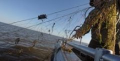 Россиянам предложили сдать рыболовные сети на нужды СВО
