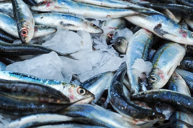 Эксперт объяснил причину подорожания рыбы в России