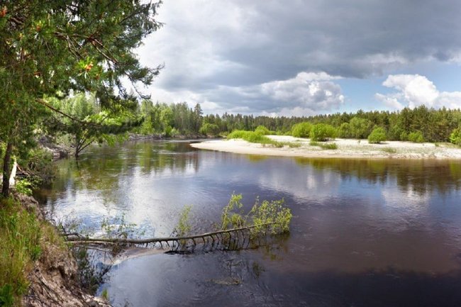 Нижегородская область