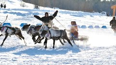 Оленеводов Приуралья призвали не выходить на лед