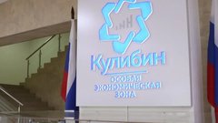 Более 545 млн рублей выделят на инфраструктуру ОЭЗ «Кулибин»