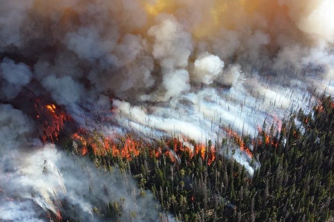 Опыт Югры в тушении лесных пожаров стал одним из лучших в стране