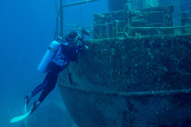 Затонувшие во времена Второй мировой корабли стали угрожать живым организмам