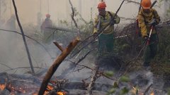 Власти Сургута ввели особый противопожарный режим