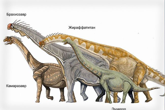 Кто такие динозавры?