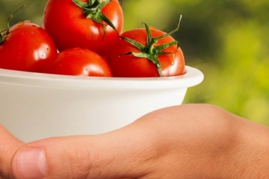 Забудьте про проблемы с томатами: достаточно посмотреть на листья