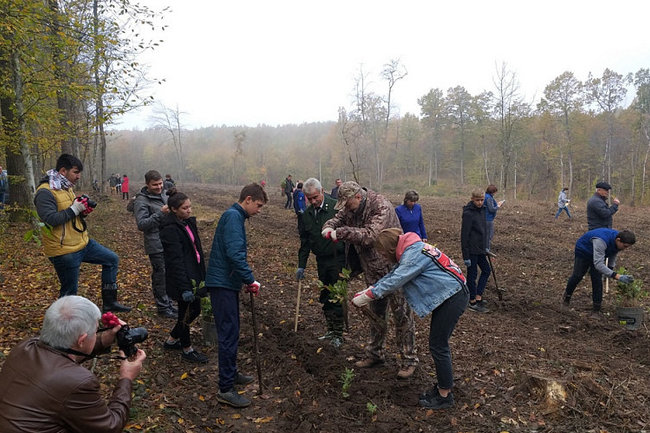 Волонтеры высадили четыре тысячи сеянцев дуба под Краснодаром