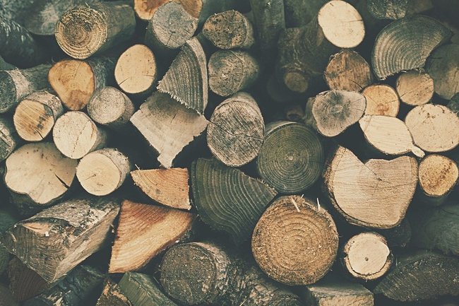 Минпромторг снимет пошлины на древесину