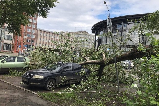 В Перми бушует ураган, пострадала остановка