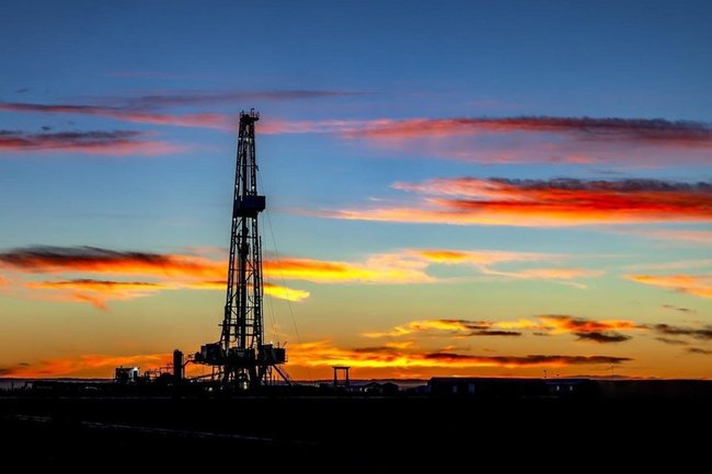 Нефтяники пожаловались Подносовой на «тайное изъятие активов»