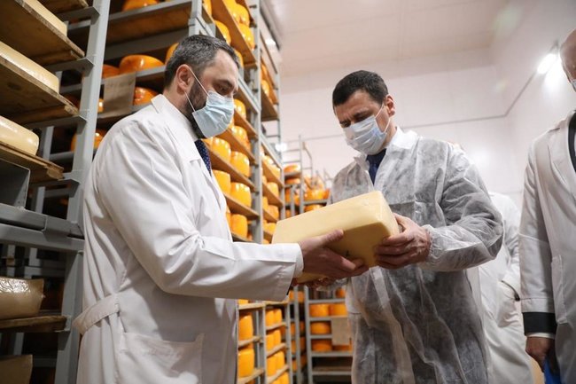 Губернатор Ярославской области: усилия по развитию сырного кластера в регионе себя оправдывают