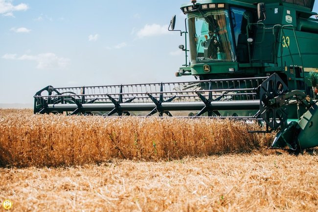 Экспорт пшеницы через южные порты в июле может сократиться почти на 40%